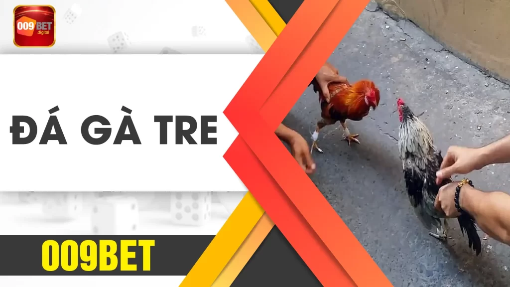 đá gà tre 009bet 01