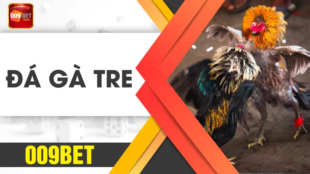 đá gà tre 009bet 02