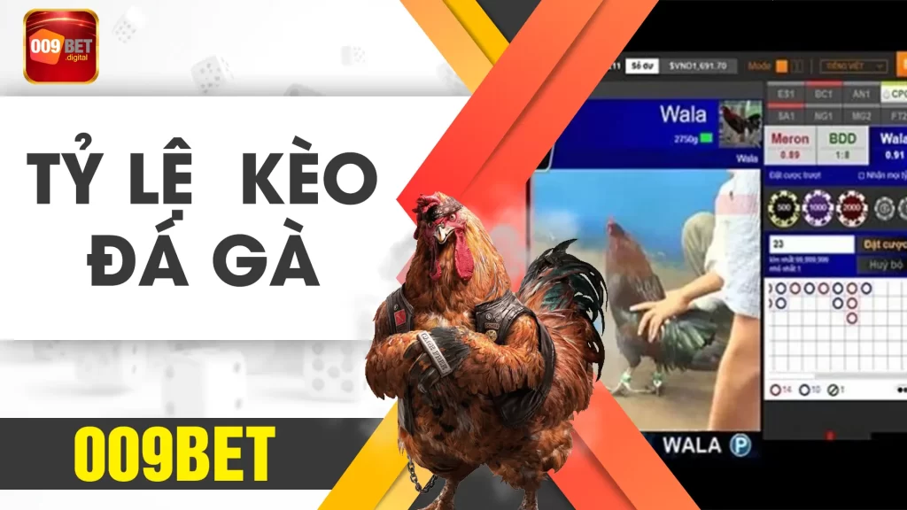 tỷ lệ kèo đá gà 009bet 02